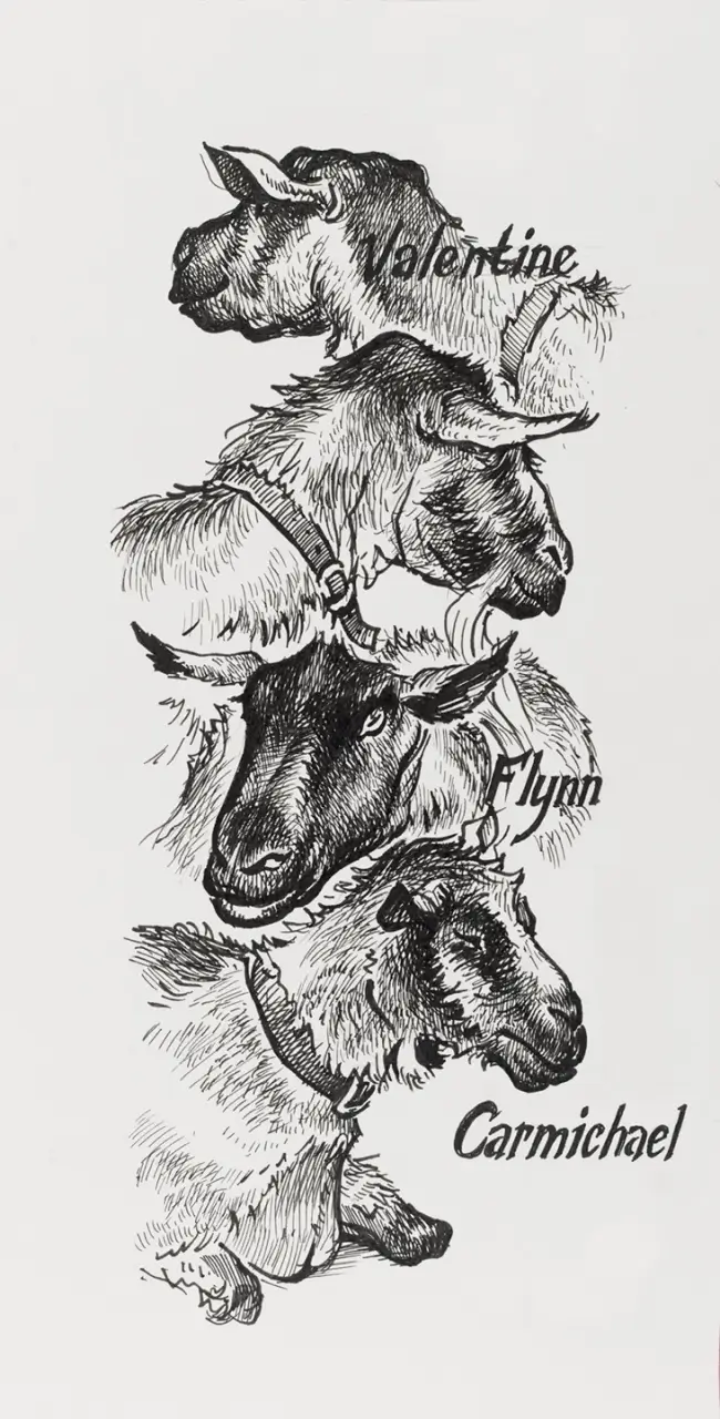 Тънкописци PITT Artist Pen Faber-Castell