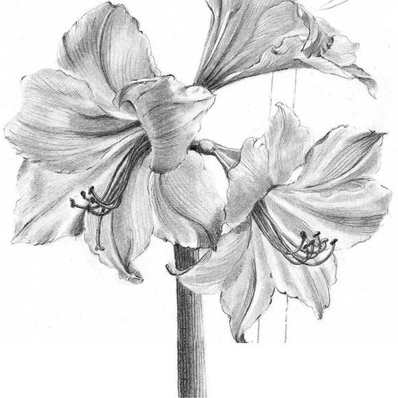 Молив графитен Castell 9000 Faber Castell
