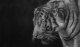 Въглен в молив пресован Faber-Castell PITT Monochrome